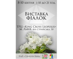 Выставка фиалок в Львове с 8 по 10 апреля 2016